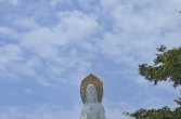 求职