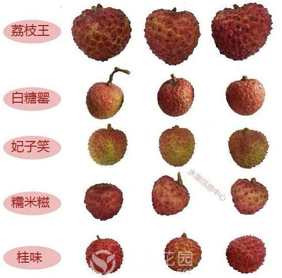 微信图片_20210603173101.png