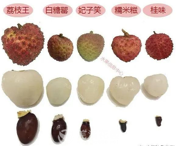 微信图片_20210603173107.png