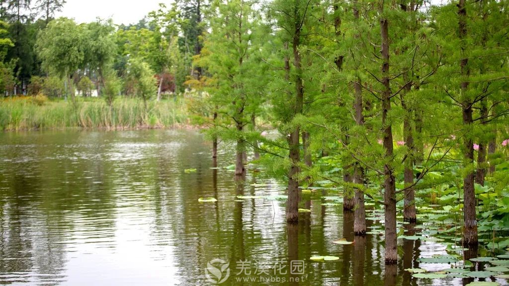 微信图片_20220626162539.jpg