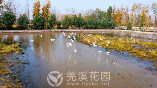 微信图片_20221215150653.png