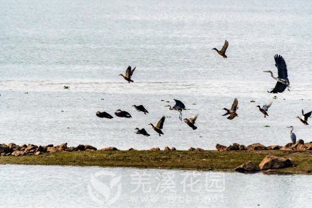 微信图片_20221215150821.png