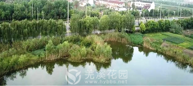 微信图片_20230412105745.png