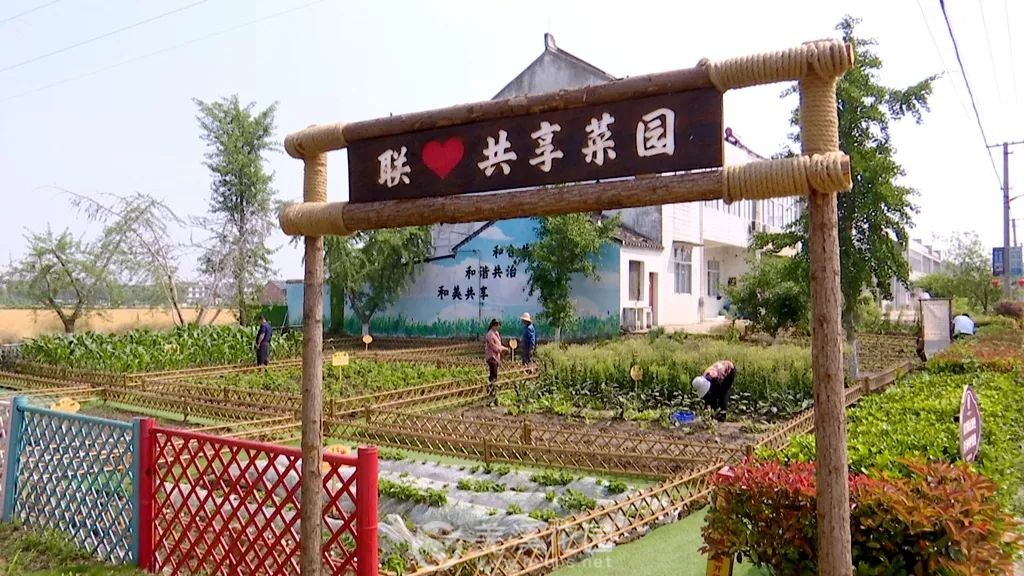 微信图片_20250601121108.jpg