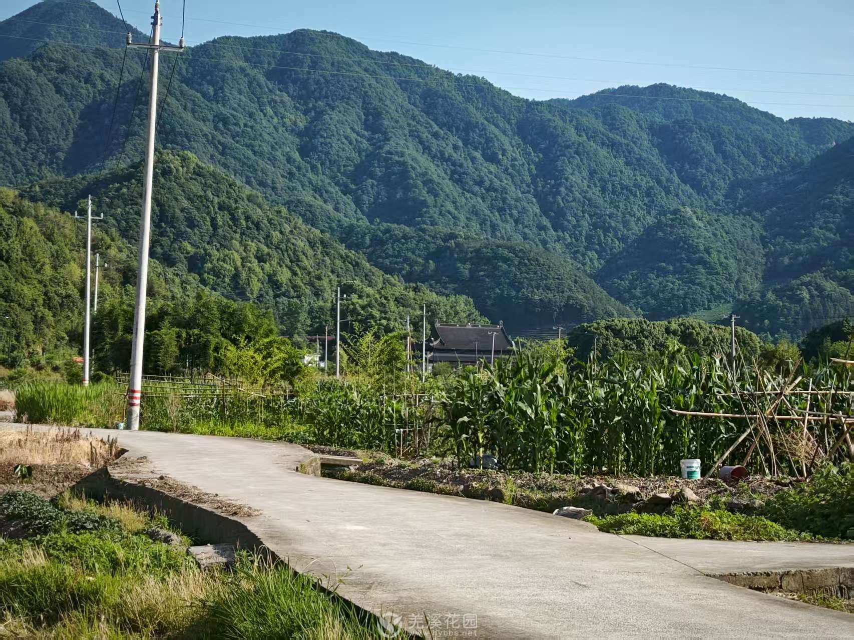 龙门禅寺路上